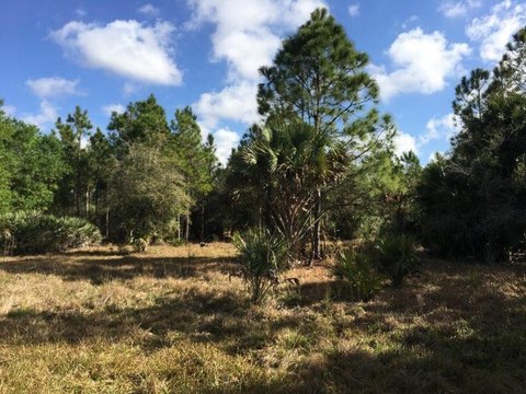 LAND - FORT PIERCE, FL