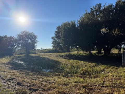 Land, OKEECHOBEE, FL