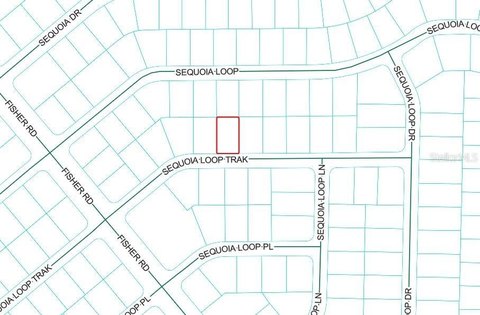 Vacant Land in Ocklawaha, FL