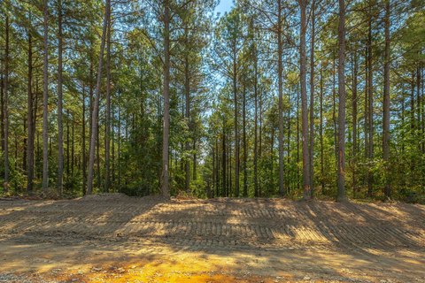 Land, Guild, TN