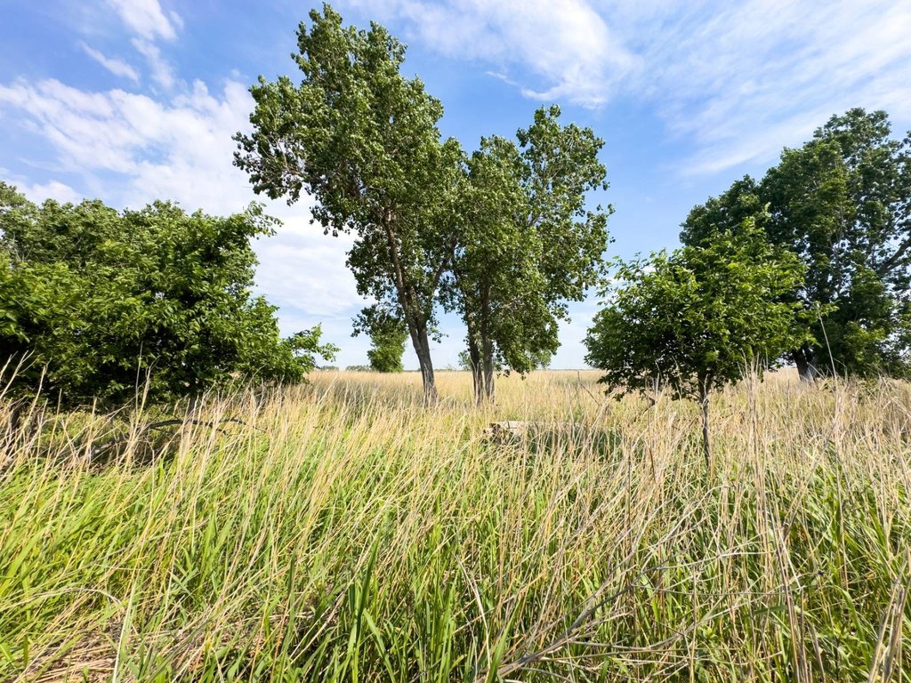 Picture 27