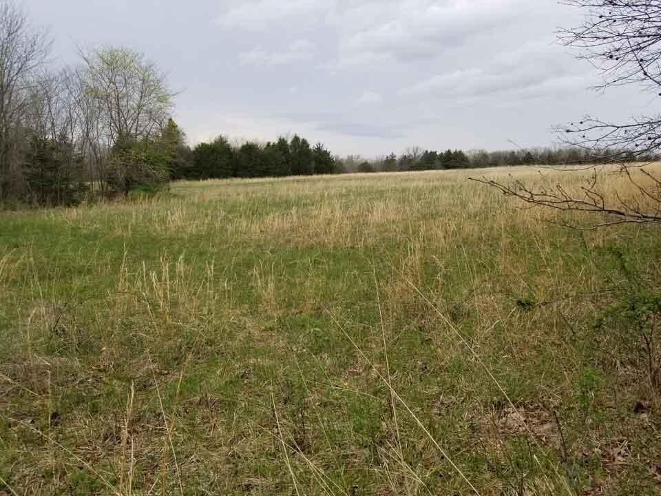 Stockton Land for Homesteading