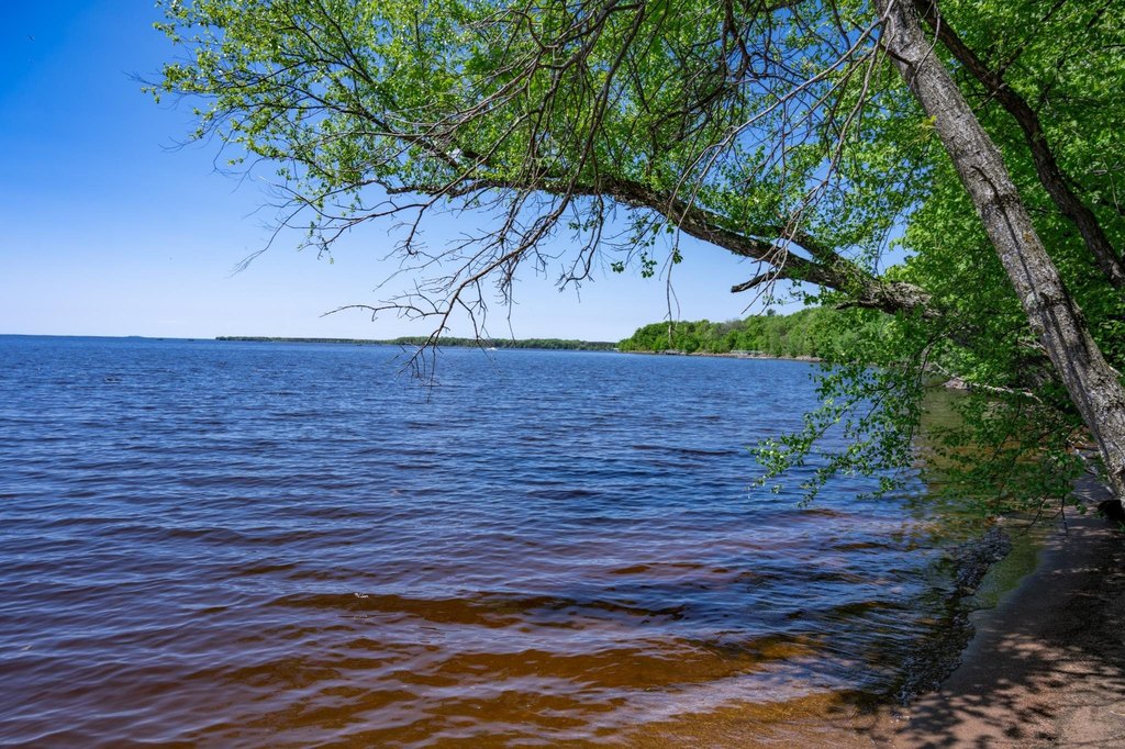 Picture 6