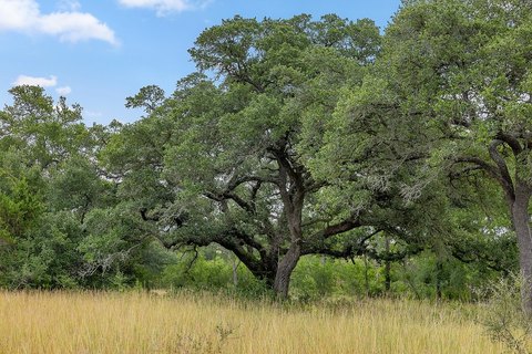 Fayetteville Land with Seasonal Creek