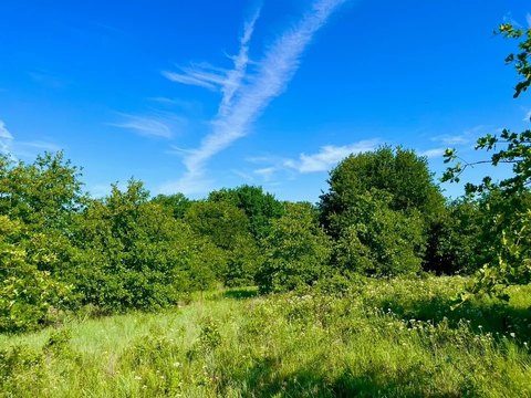 Ready-to-Build Ranch Lot