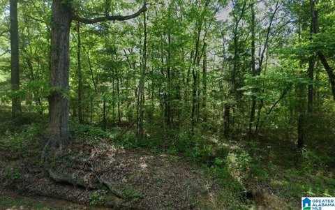 LAND/LOTS, BESSEMER, AL