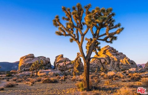 Land, Pioneertown, CA