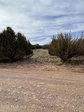Seligman, AZ Treed Land Parcel