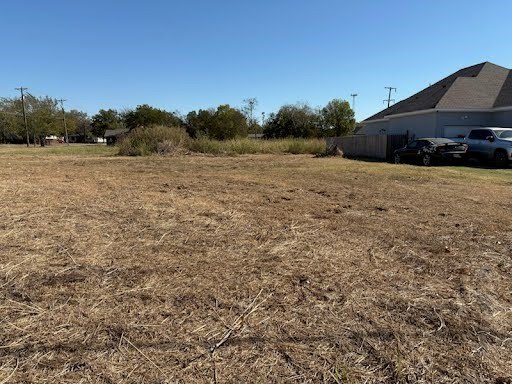 Picture 5