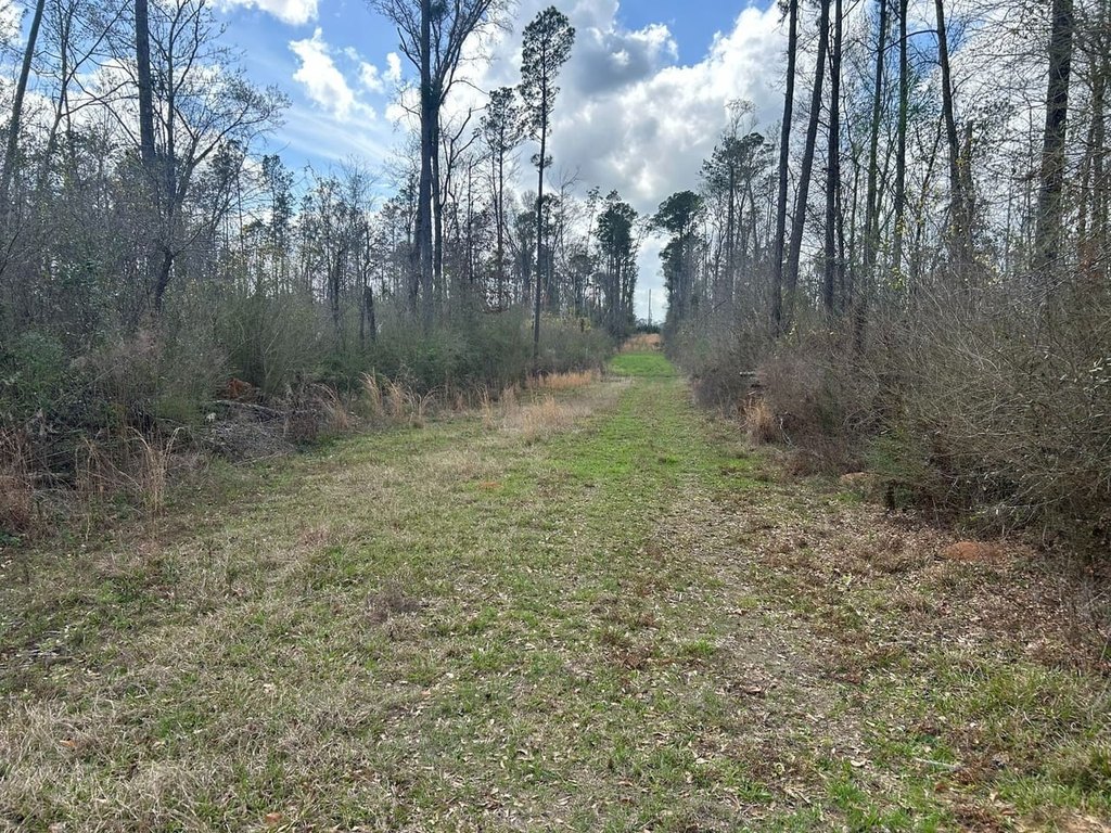 Picture 8