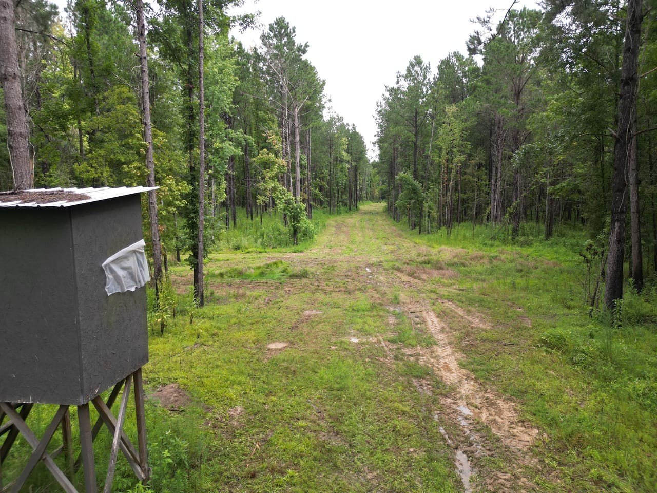 Versatile Land in Roseland, Louisiana