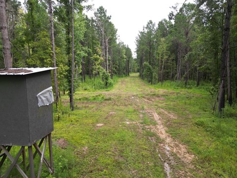 Vacant Land - Roseland, LA
