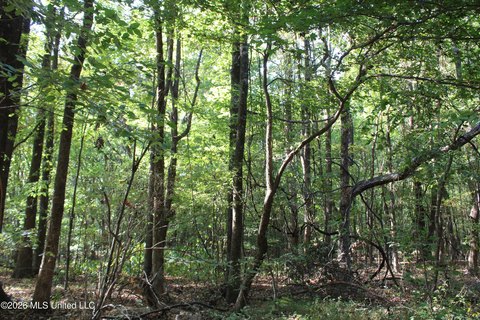 Land, Nesbit, MS