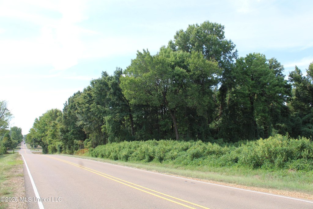 Picture 31