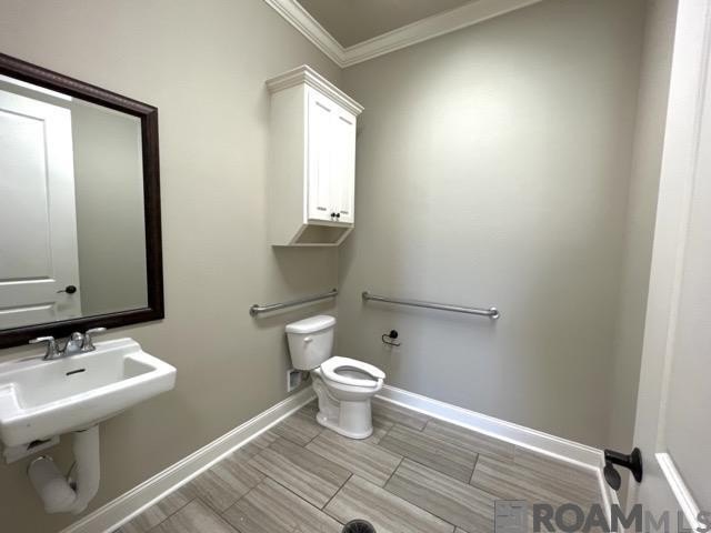 Picture 15