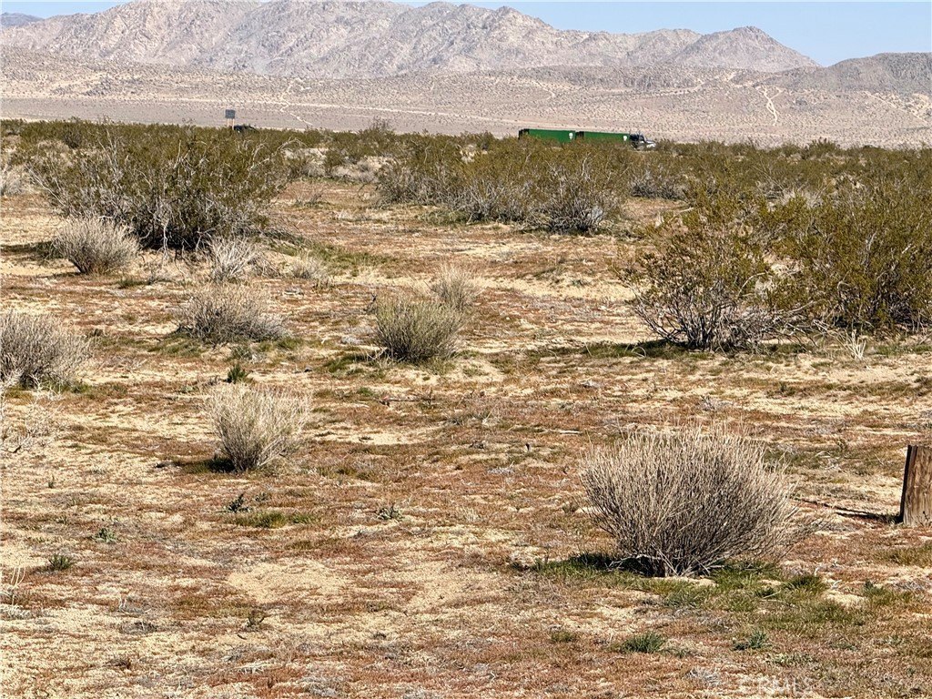 Picture 11