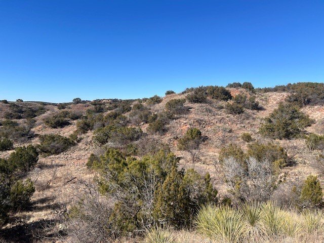 Picture 19