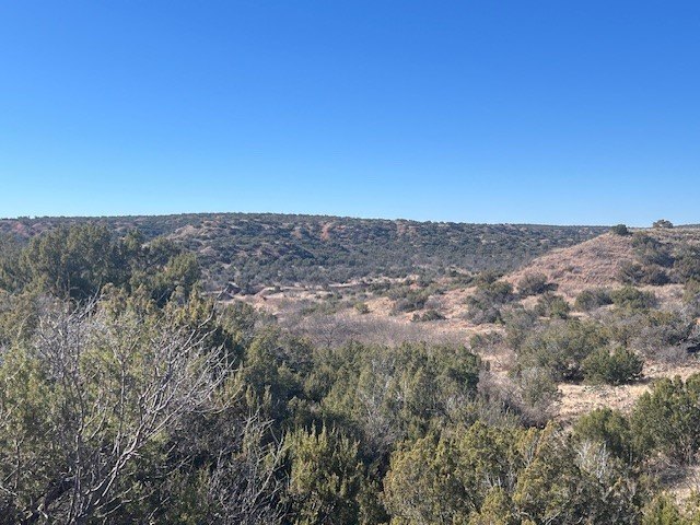 Picture 21