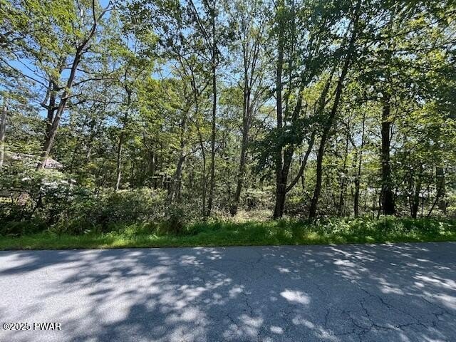 Idyllic Land in Conashaugh Lakes