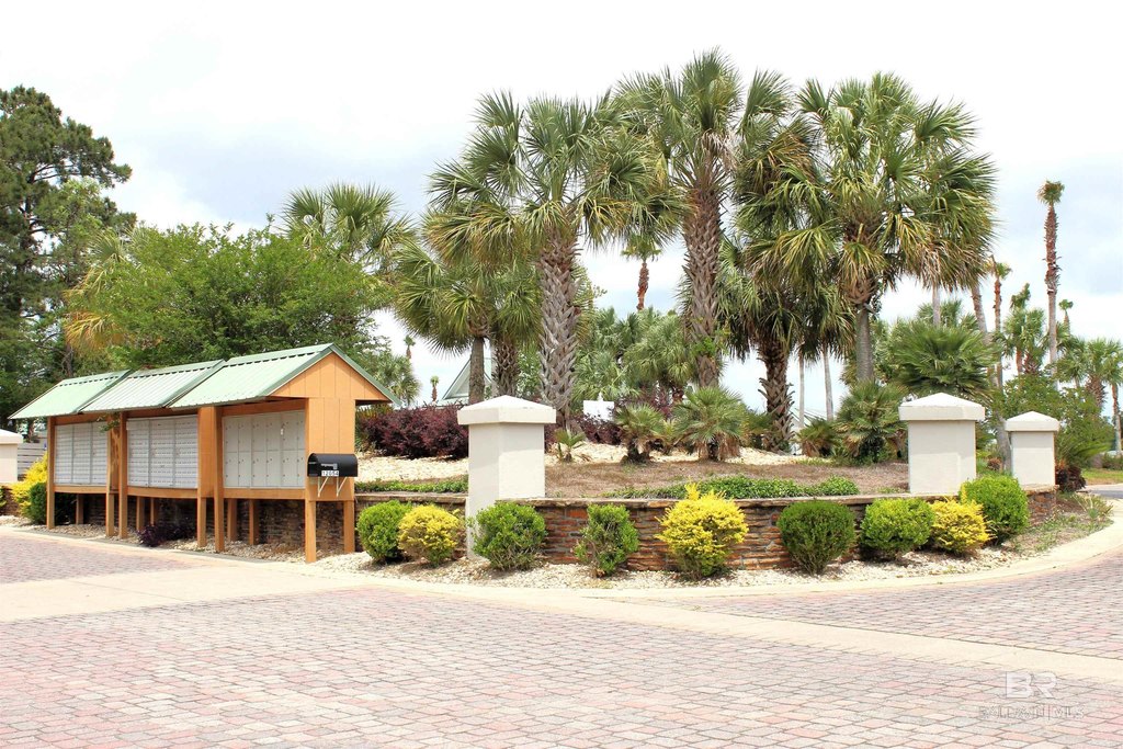 Picture 47