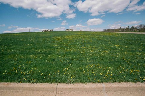 LAND - Neillsville, WI