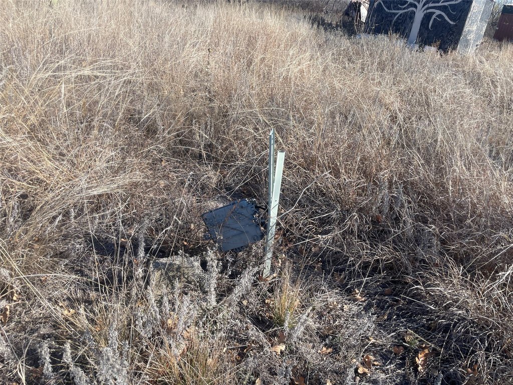 Picture 3