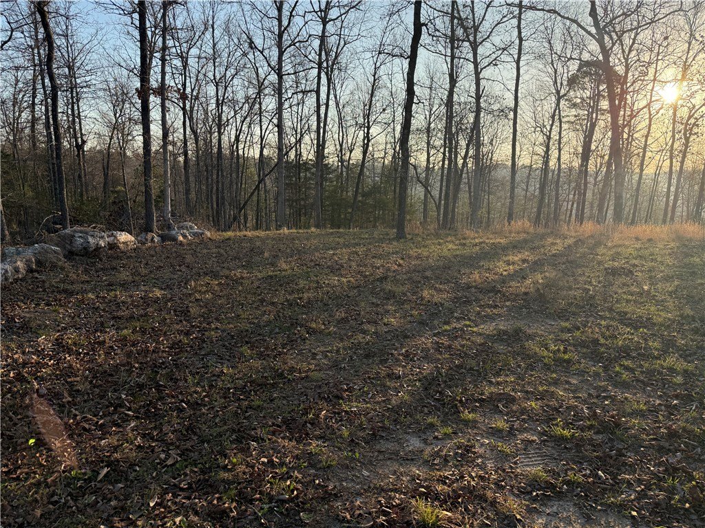 Calico Rock Wooded Acreage