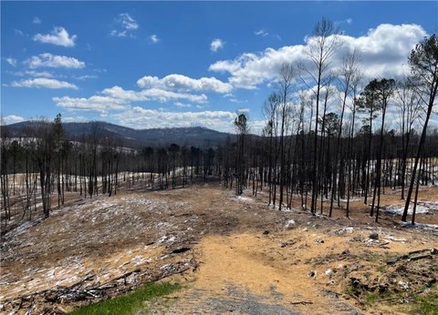 Land in Talking Rock, GA