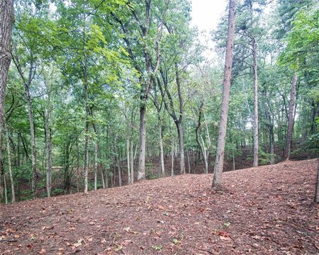 Land, Ranger, GA