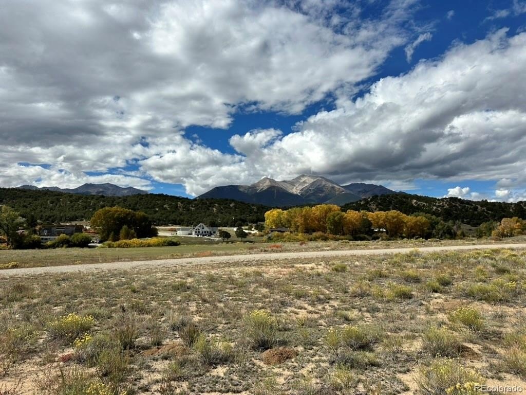 Picture 5