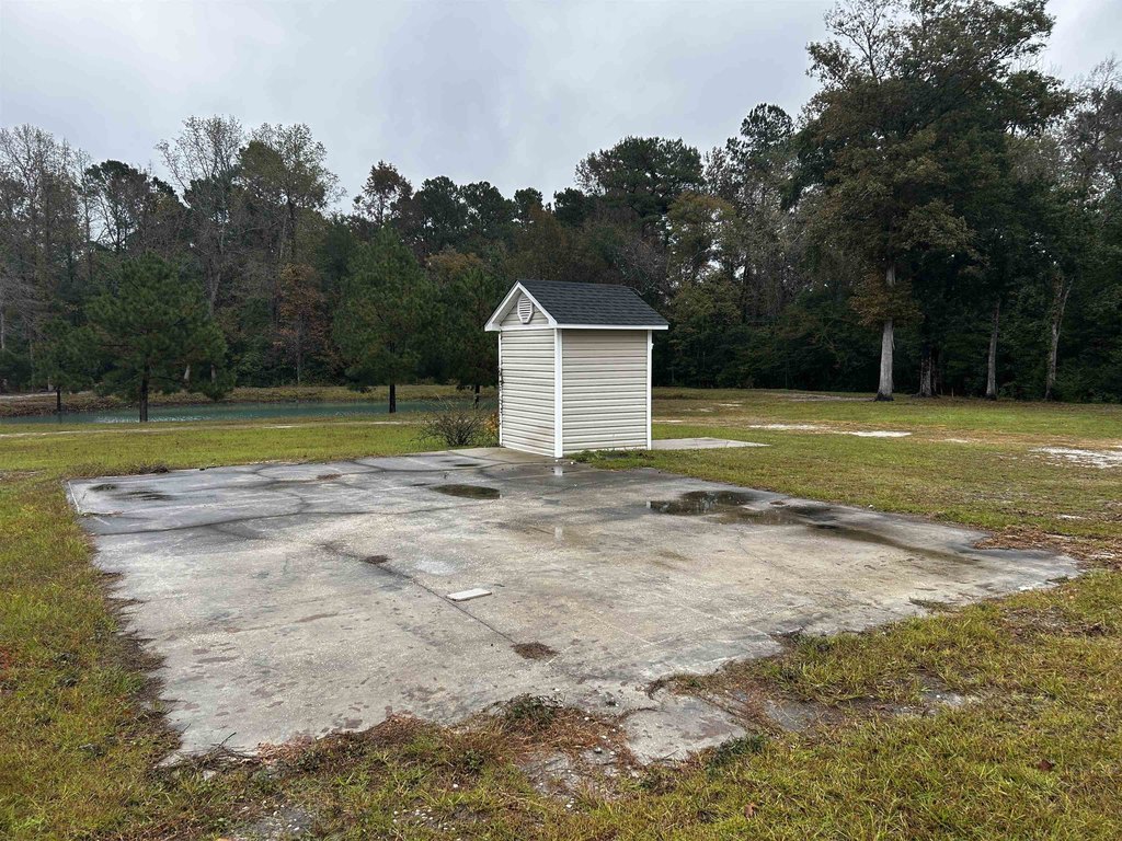 Picture 19