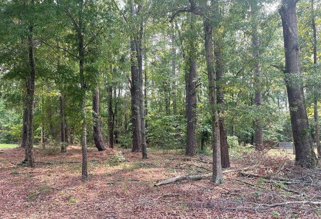 Lake Marion Treed Lot