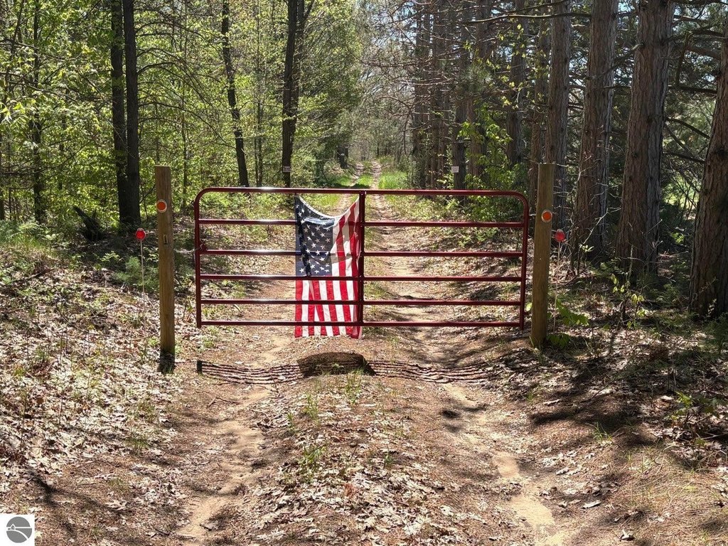 Picture 11