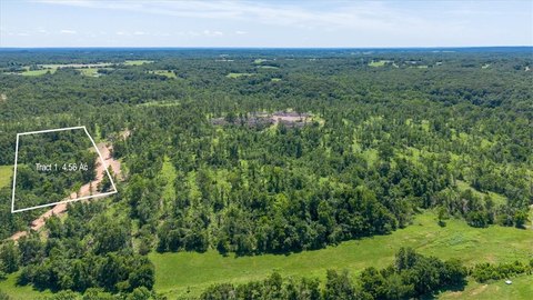 LAND - Goodman, MO