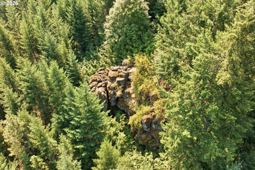 Picture 20