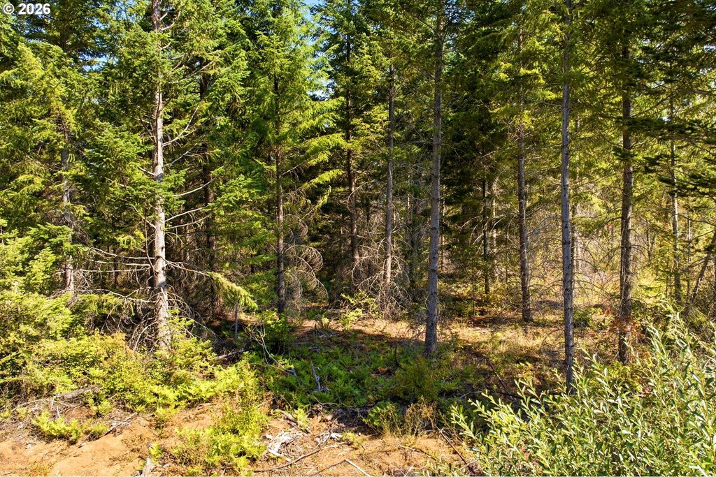 Picture 8