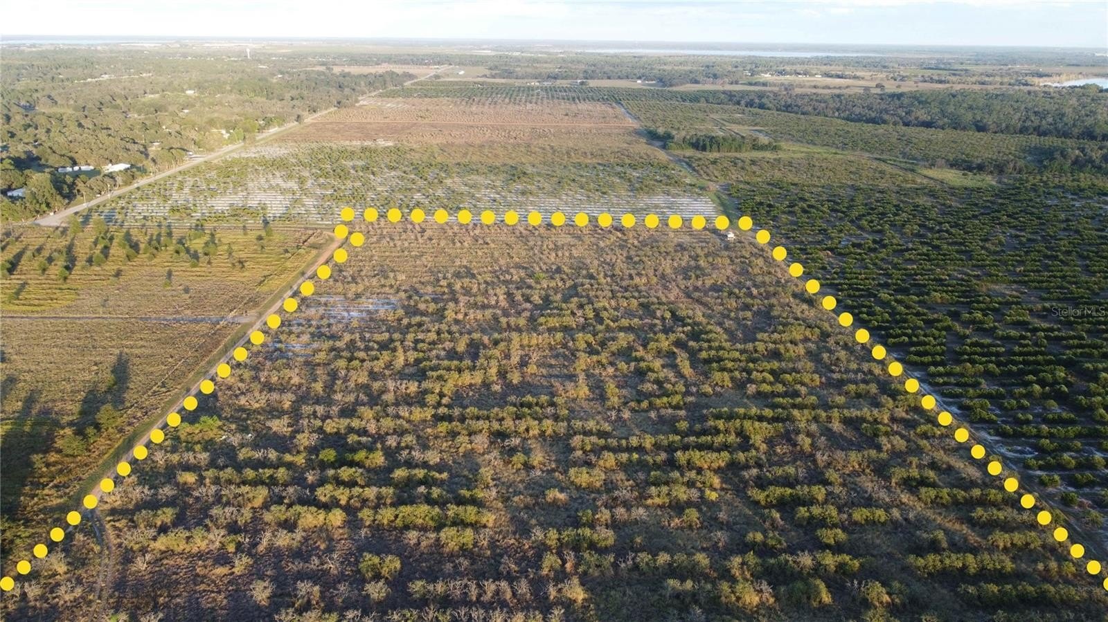 48 Acres in Frostproof, Florida
