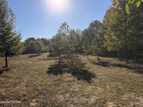 Land, Beech Bluff, TN
