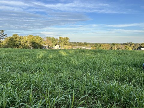 Land, Waddy, KY