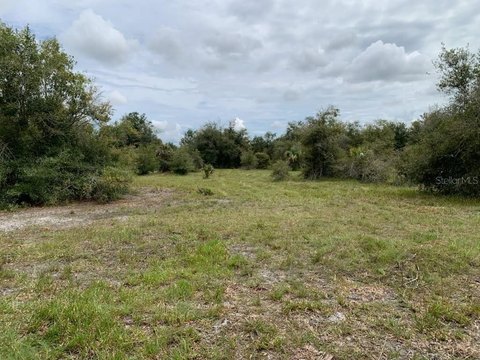 Cleared Agricultural Land