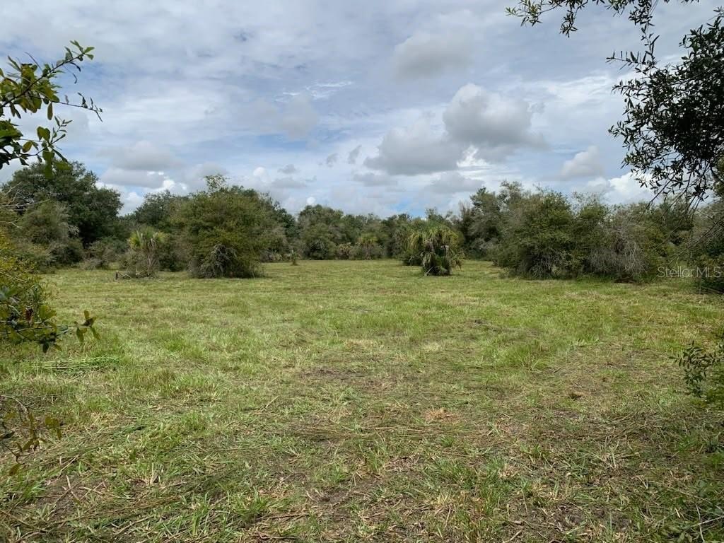 Picture 2