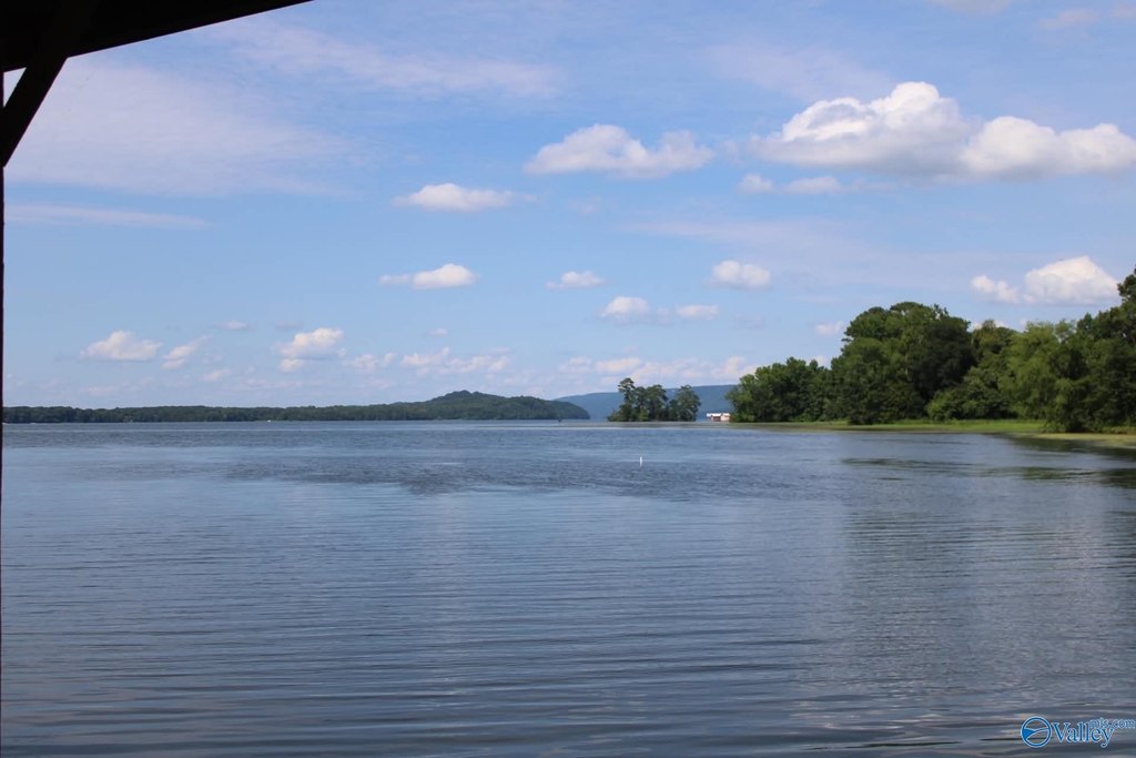 Picture 21