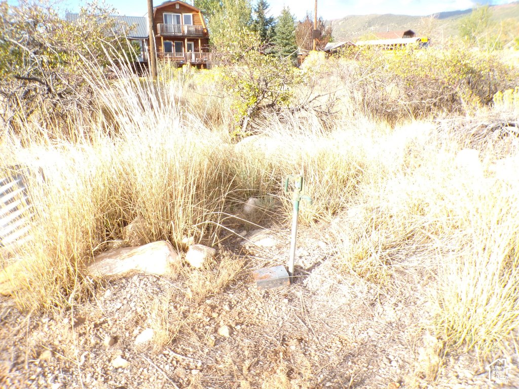 Picture 9