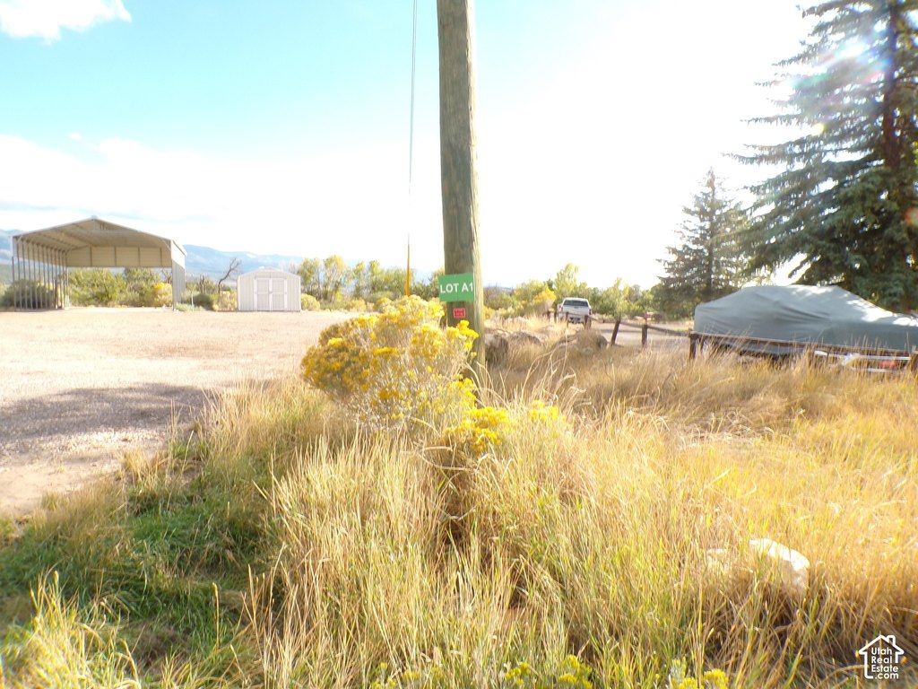 Picture 3