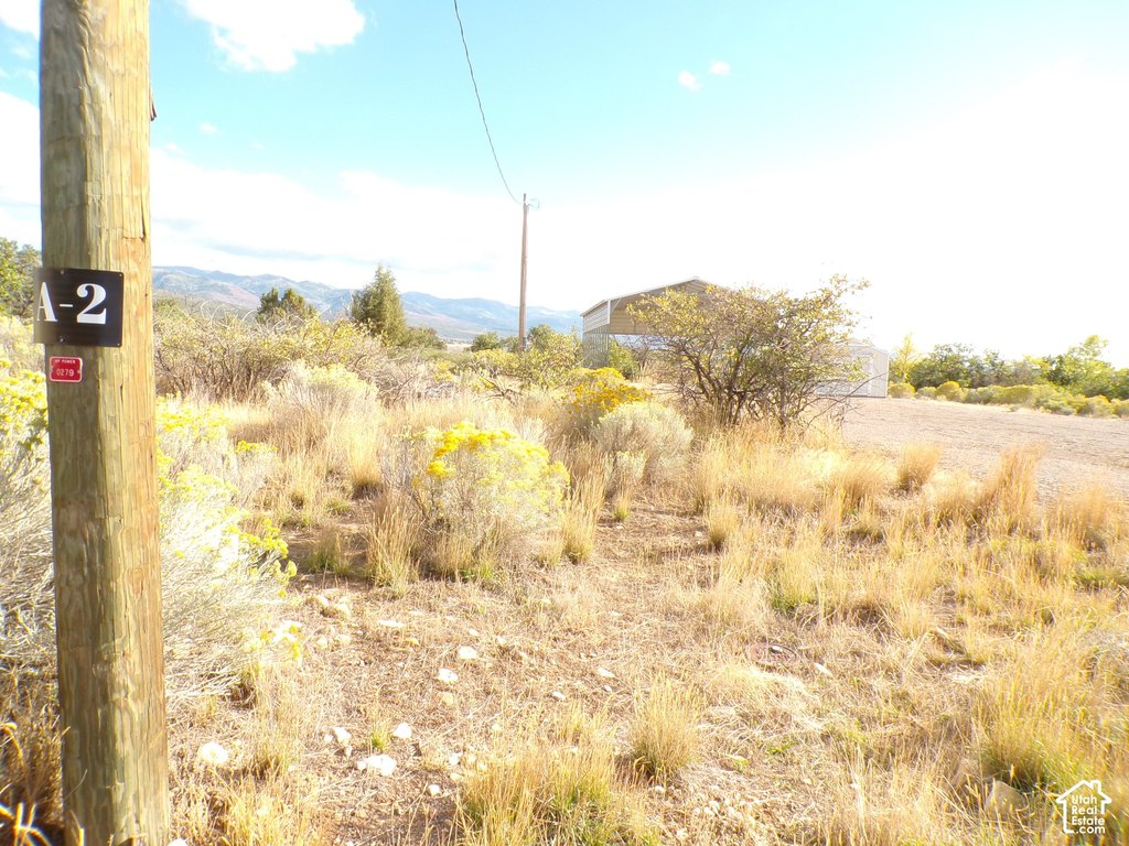 Picture 4