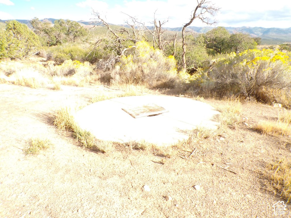 Picture 7