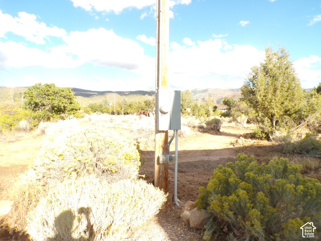 Picture 10