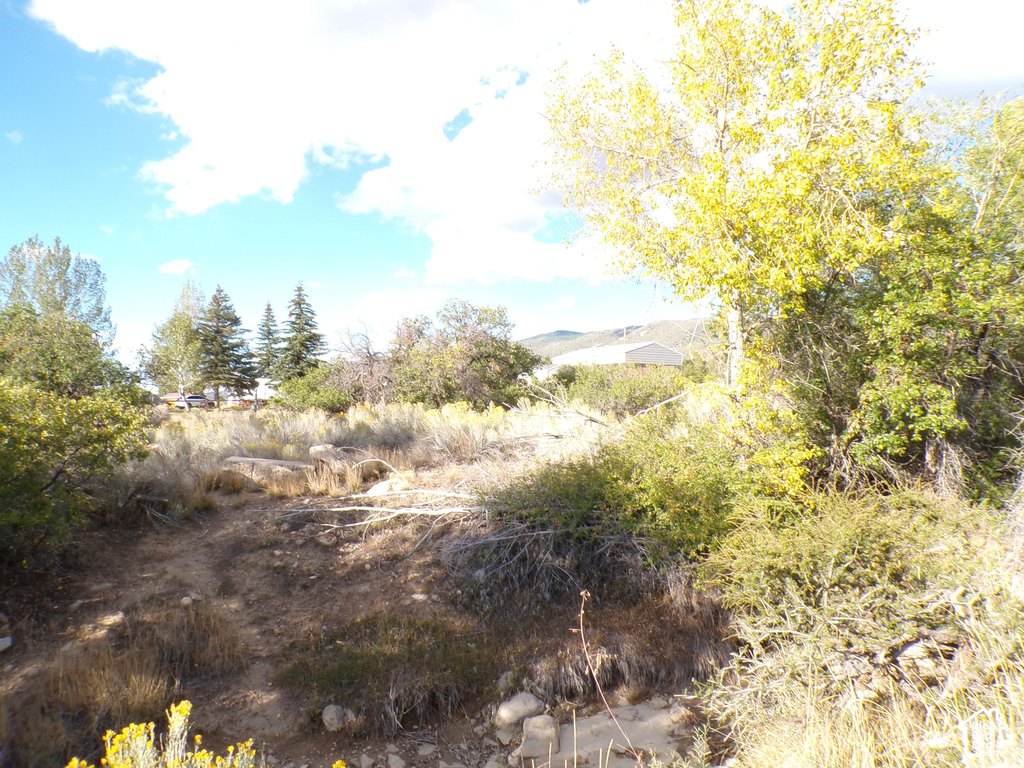 Picture 8