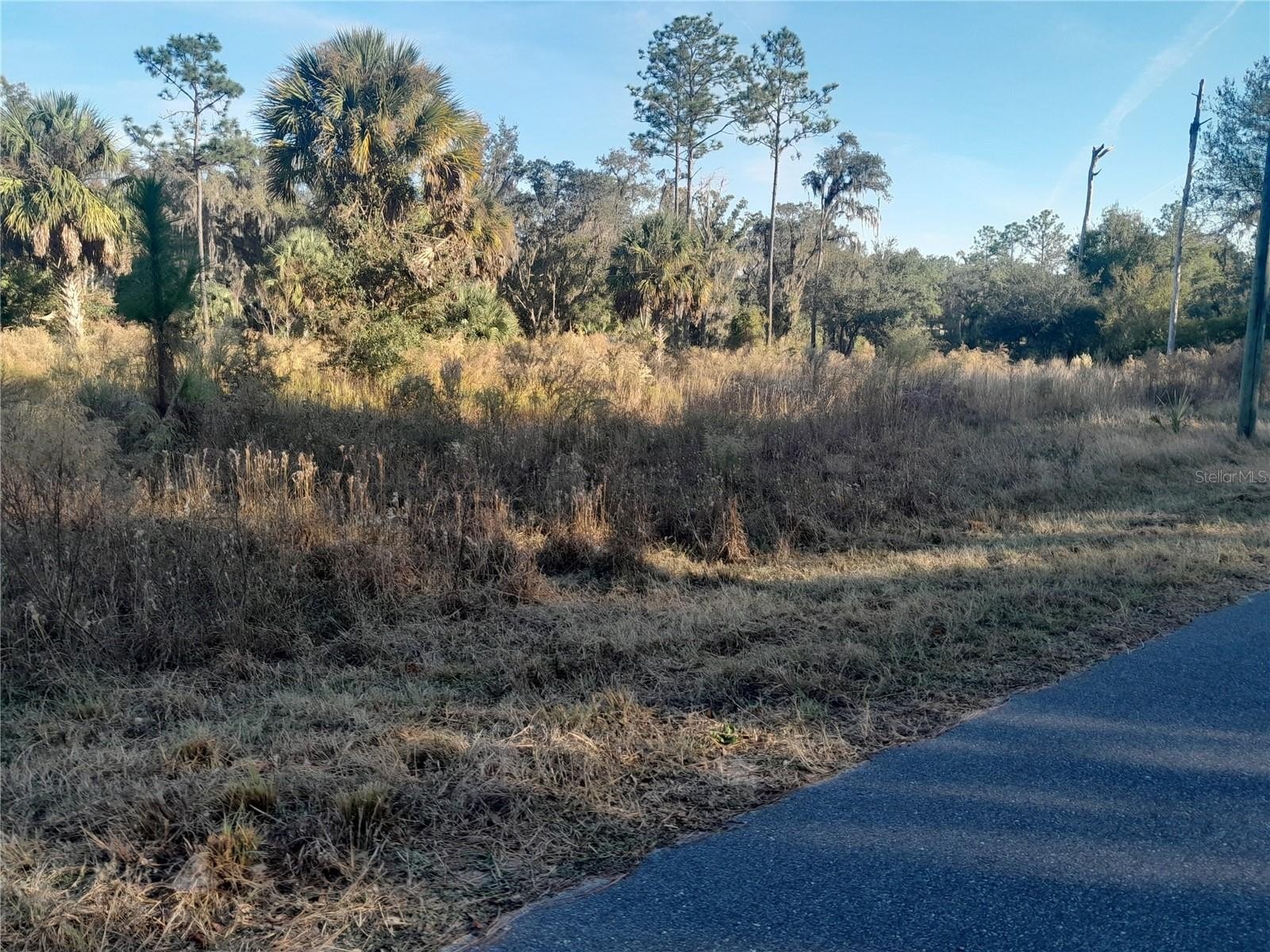 Inglis, FL Land Parcel