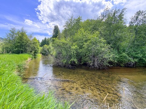 LAND - COLVILLE, WA
